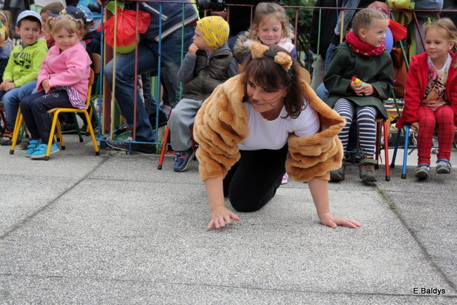 Festyn Rodzinny w Pawłowicach (zdjęcia)