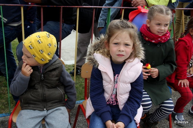 Festyn Rodzinny w Pawłowicach (zdjęcia)