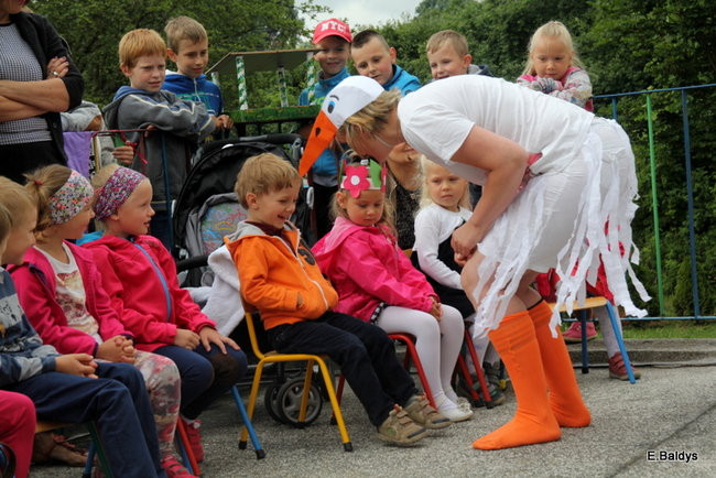 Festyn Rodzinny w Pawłowicach (zdjęcia)