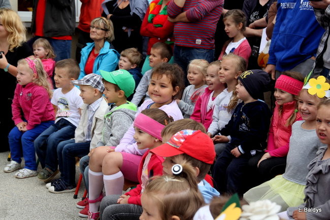 Festyn Rodzinny w Pawłowicach (zdjęcia)
