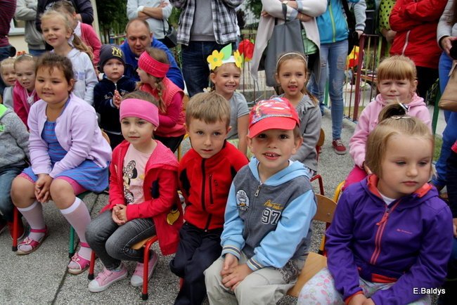 Festyn Rodzinny w Pawłowicach (zdjęcia)