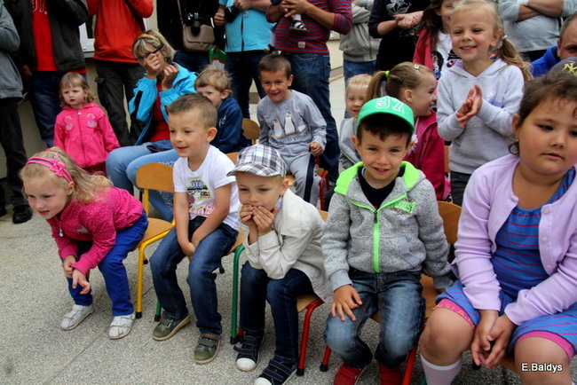 Festyn Rodzinny w Pawłowicach (zdjęcia)