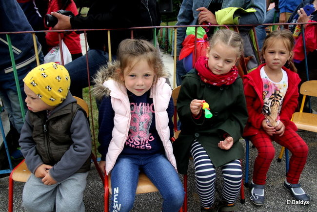 Festyn Rodzinny w Pawłowicach (zdjęcia)