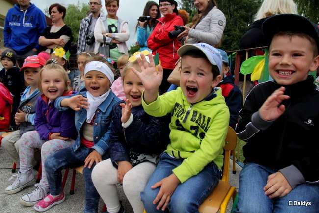 Festyn Rodzinny w Pawłowicach (zdjęcia)