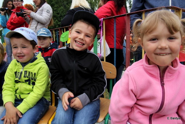 Festyn Rodzinny w Pawłowicach (zdjęcia)