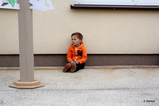 Festyn Rodzinny w Pawłowicach (zdjęcia)