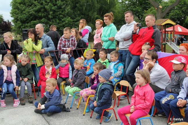 Festyn Rodzinny w Pawłowicach (zdjęcia)