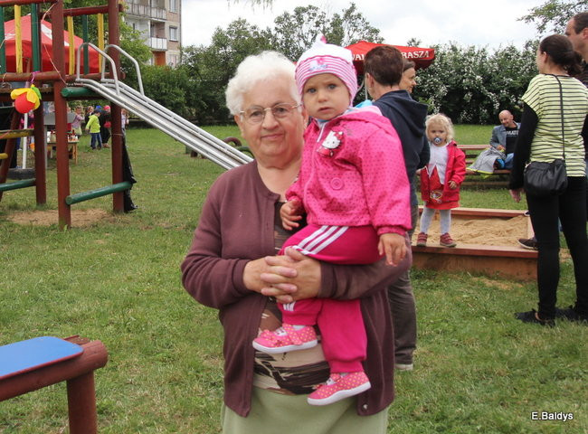 Festyn Rodzinny w Pawłowicach (zdjęcia)