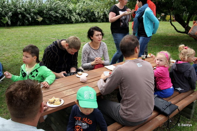 Festyn Rodzinny w Pawłowicach (zdjęcia)