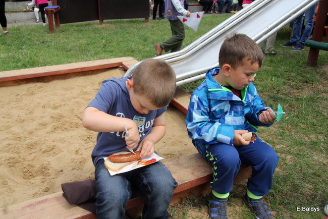 Festyn Rodzinny w Pawłowicach (zdjęcia)
