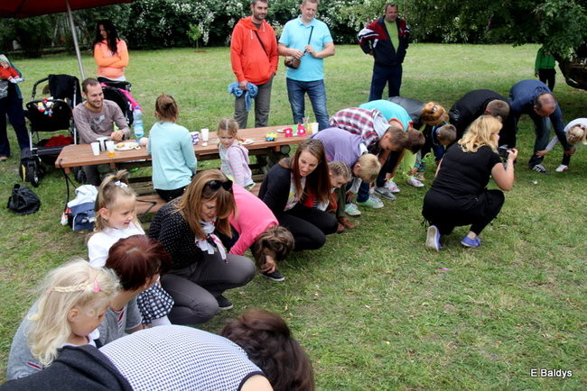 Festyn Rodzinny w Pawłowicach (zdjęcia)