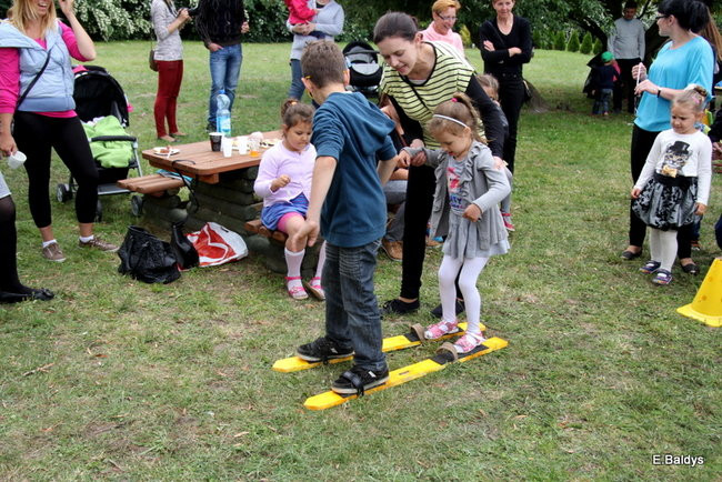 Festyn Rodzinny w Pawłowicach (zdjęcia)