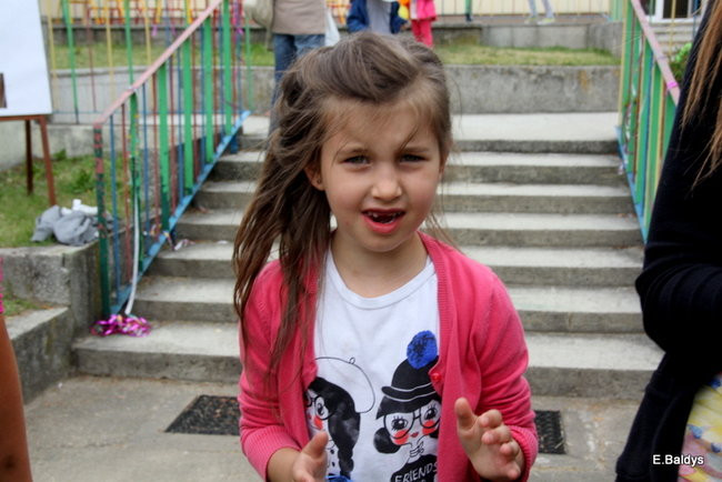 Festyn Rodzinny w Pawłowicach (zdjęcia)