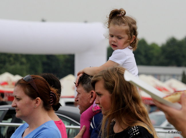 Latali, szybowali i spadali (zdjęcia i film)