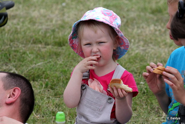 Latali, szybowali i spadali (zdjęcia i film)