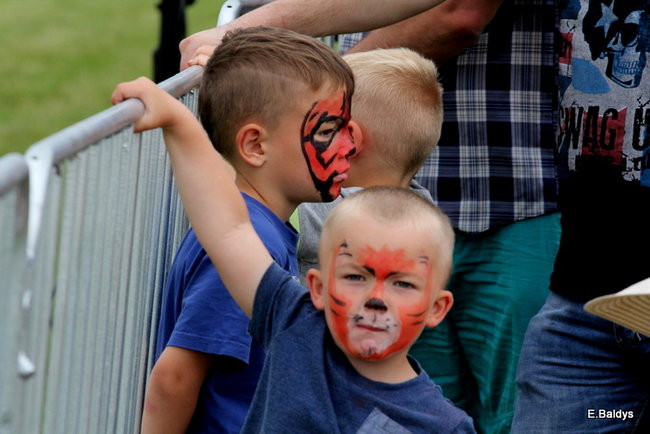Latali, szybowali i spadali (zdjęcia i film)
