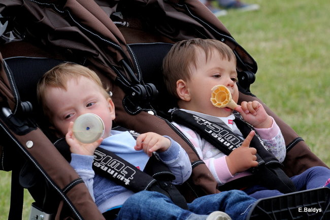 Latali, szybowali i spadali (zdjęcia i film)