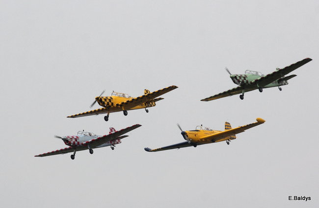 Latali, szybowali i spadali (zdjęcia i film)