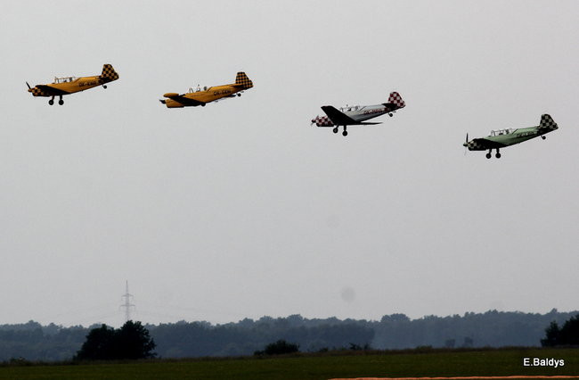 Latali, szybowali i spadali (zdjęcia i film)