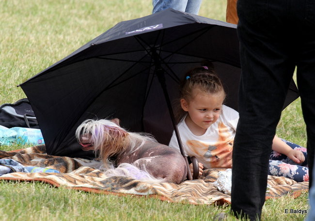 Latali, szybowali i spadali (zdjęcia i film)