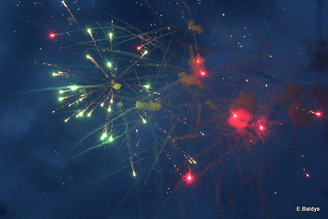 Latali, szybowali i spadali (zdjęcia i film)