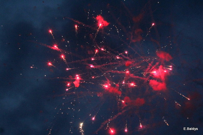 Latali, szybowali i spadali (zdjęcia i film)