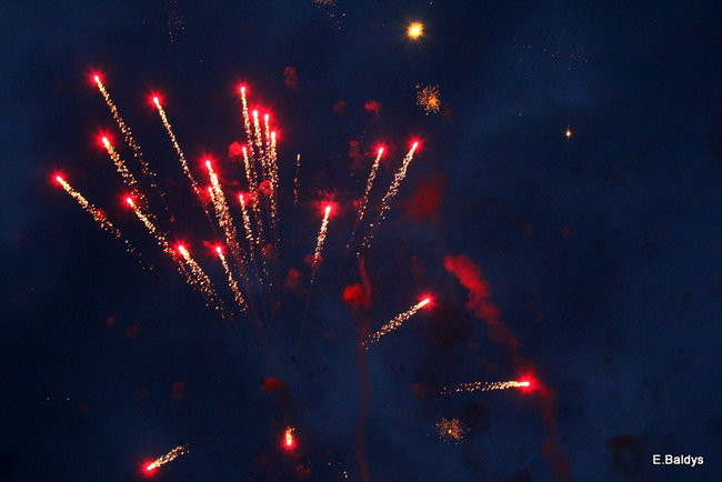 Latali, szybowali i spadali (zdjęcia i film)