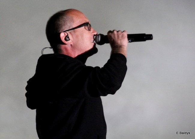 Latali, szybowali i spadali (zdjęcia i film)