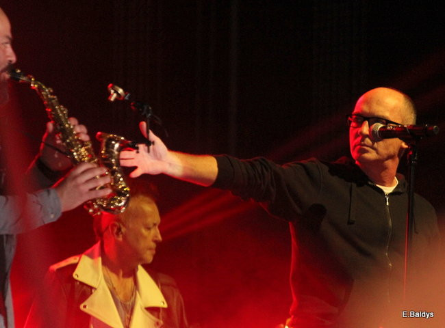 Latali, szybowali i spadali (zdjęcia i film)