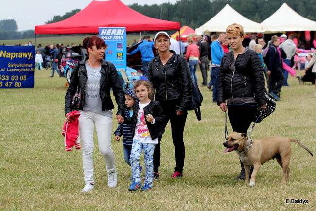 Latali, szybowali i spadali (zdjęcia i film)