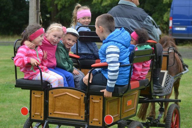 Festyn Rodzinny w Pawłowicach (dużo zdjęć)