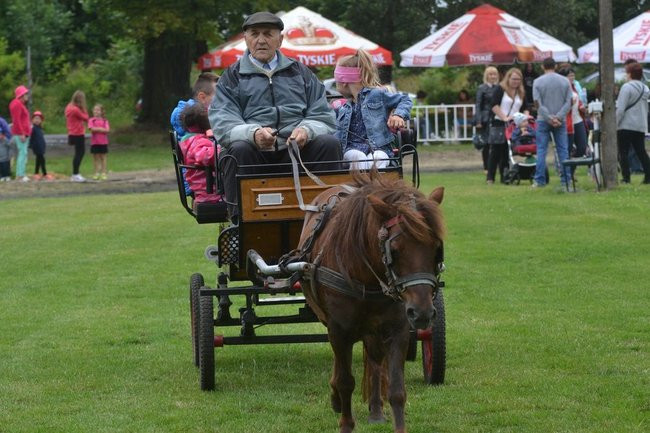 Festyn Rodzinny w Pawłowicach (dużo zdjęć)