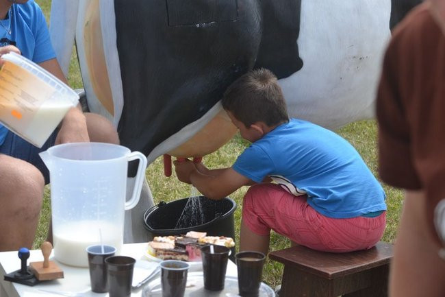 Festyn rodzinny w Brylewie (dużo zdjęć)
