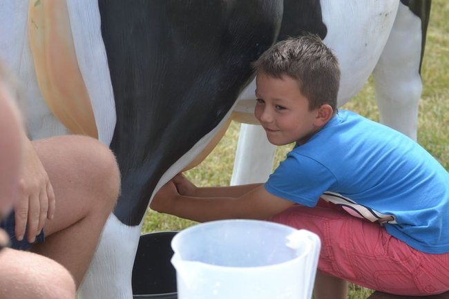 Festyn rodzinny w Brylewie (dużo zdjęć)