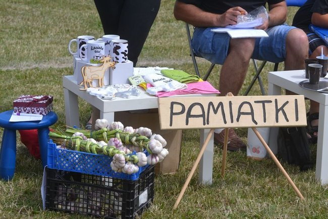 Festyn rodzinny w Brylewie (dużo zdjęć)