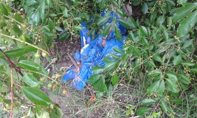 Wielkie dzikie wysypisko śmieci (zdjęcia)