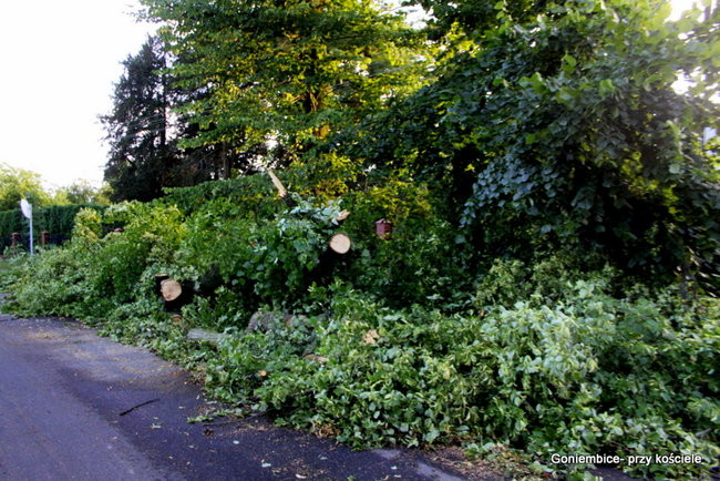 Wichura w powiecie leszczyńskim (zdjęcia)