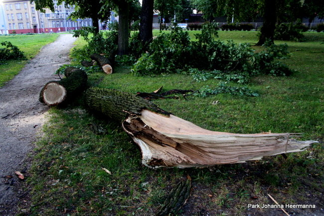 Wichura w powiecie leszczyńskim (zdjęcia)