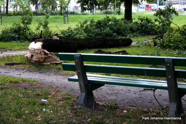 Wichura w powiecie leszczyńskim (zdjęcia)