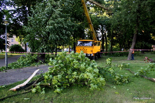 Wichura w powiecie leszczyńskim (zdjęcia)