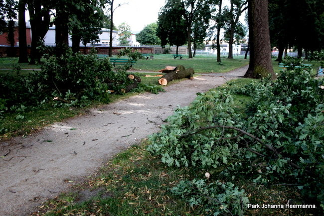 Wichura w powiecie leszczyńskim (zdjęcia)