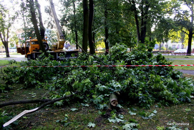 Wichura w powiecie leszczyńskim (zdjęcia)