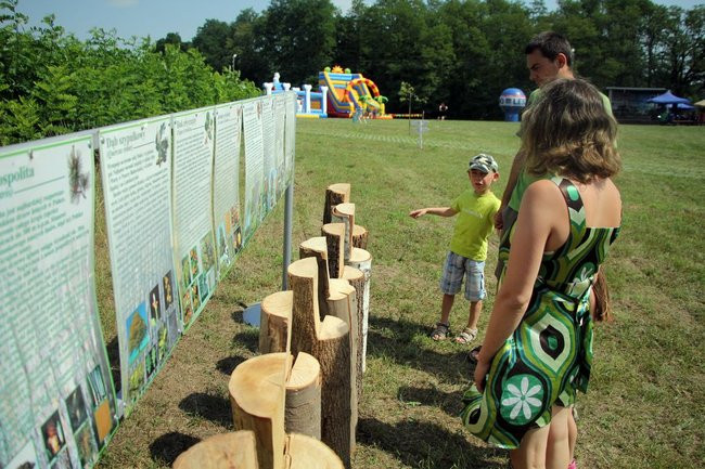 Drewno motywem przewodnim (zdjęcia)