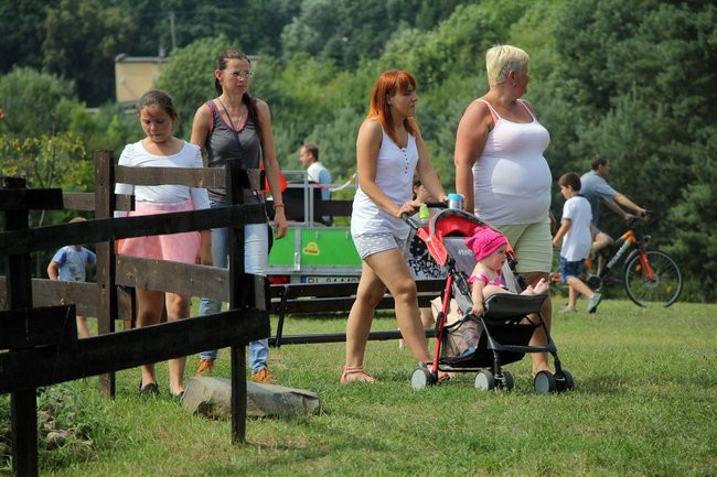 Drewno motywem przewodnim (zdjęcia)