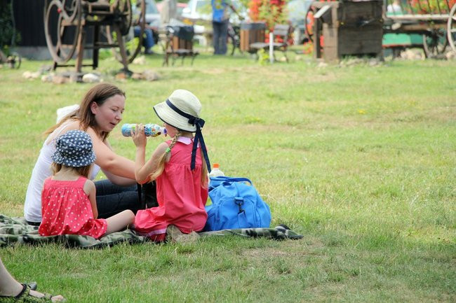 Drewno motywem przewodnim (zdjęcia)