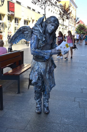 Wiadomość z przeszłości (zdjęcia)