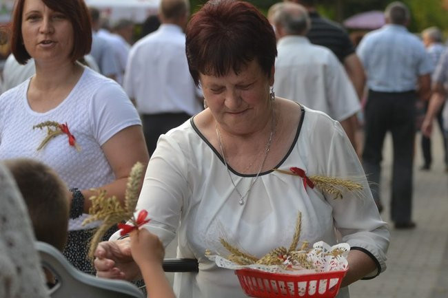 Dożynki w Pawłowicach (dużo zdjęć)