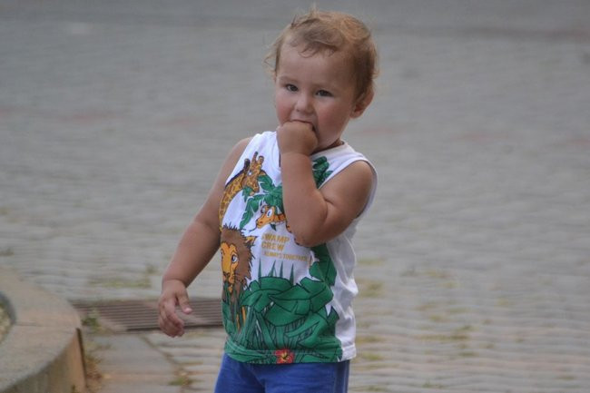 Dożynki w Pawłowicach (dużo zdjęć)