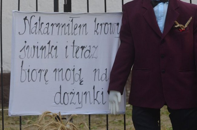 Dożynki w Pawłowicach (dużo zdjęć)