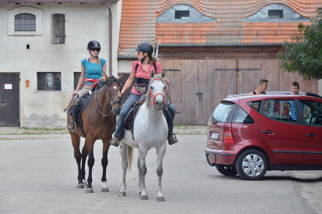 Jeziorki - nie tylko dla koni (zdjęcia)
